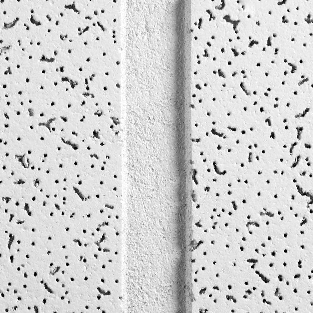 Armstrong Drop Ceiling Tile 24" x 48" Tegular Acoustic White (80-Sq-Ft/Case)