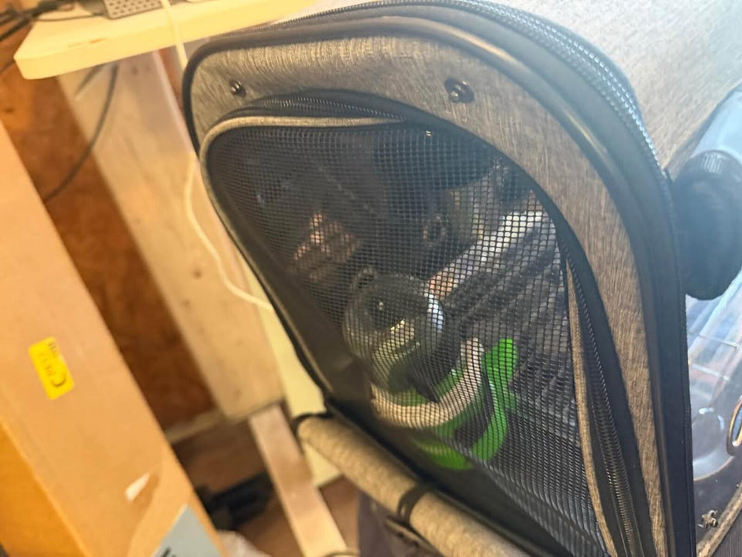 Gray bird Pet Carrier