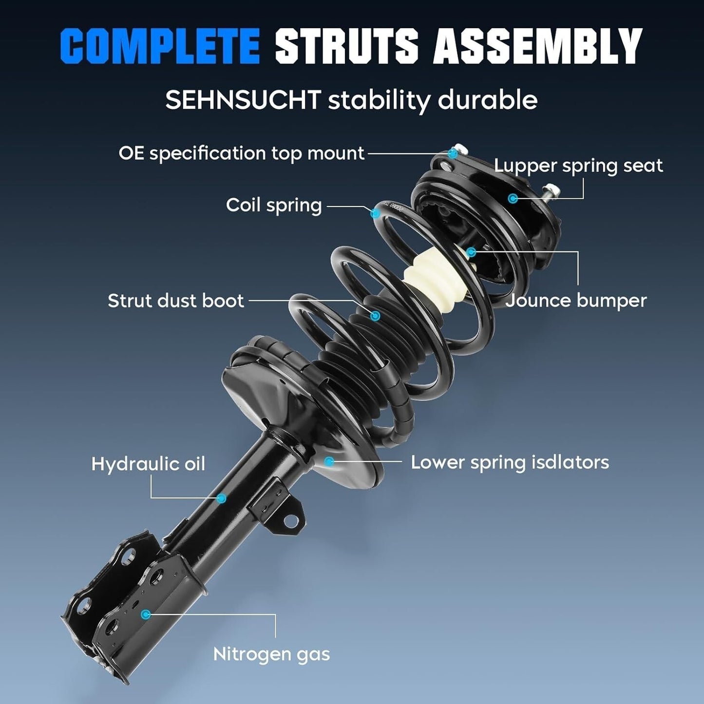 2003-08 Toyota Matrix Pontiac Vibe Front Strut and Coil Spring Assembly