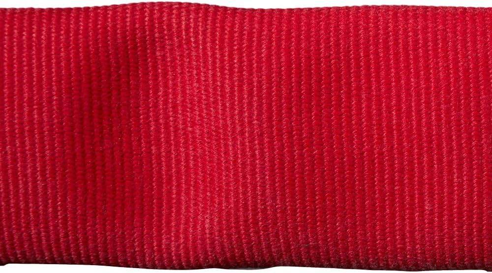 Fire Hose - 2 1/2" x 50' Lay Flat Water Hose - Made in the USA - Red Firehose