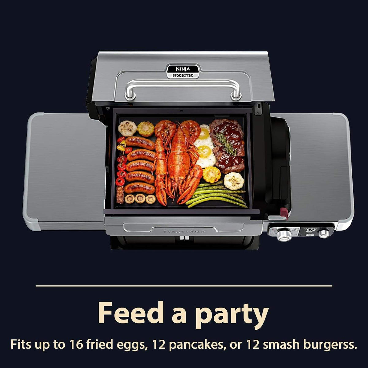 Griddle Insert for Ninja FlexFlame PG300 Series, Full Size Carbon Steel Griddle