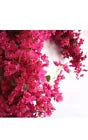 40Pcs in Bulk Artificial Bougainvillea Silk Flowers Branches Long Plant Stems...
