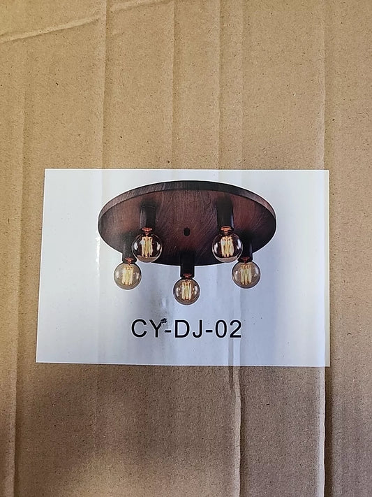 Ceiling Light Fixture, 5 Light, 16” Long Across