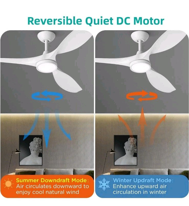Roomratv Ceiling Fans with Lights,Large Airflow 52inch Modern Ceiling Fan wit...