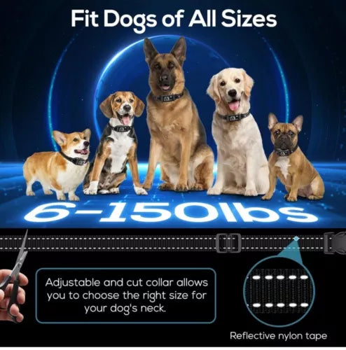 DINJOO Bark Collar for Large Medium Small Dogs,Smart Bark Collar TC03-BLACK