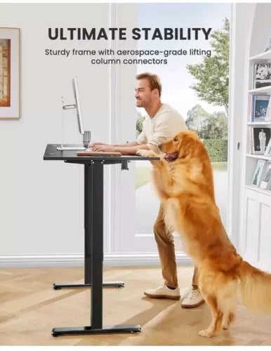 ErGear Height Adjustable Electric Standing Desk, 55 x 28 Inches Sit Stand up ...