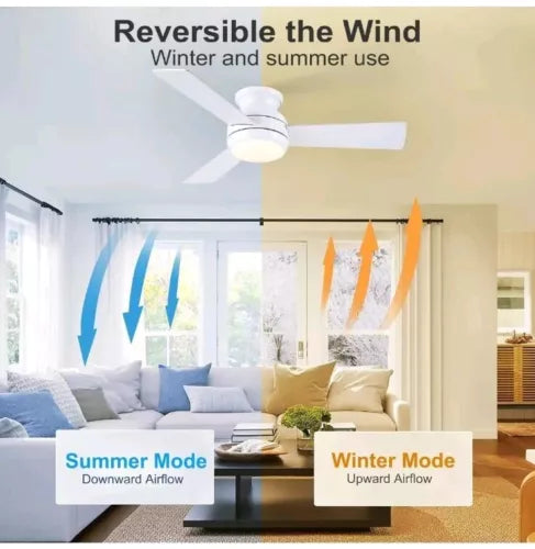 Pochfan 3 Blade Fan