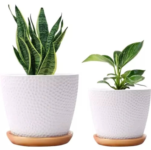 10 Inch White Honeycomb Pattern Ceramic Indoor Plant Pot with Drainage and Sauce