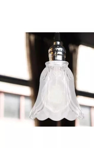 Glass Frosted Lampshade Bell Shades Globe Light Fixtures Chandelier